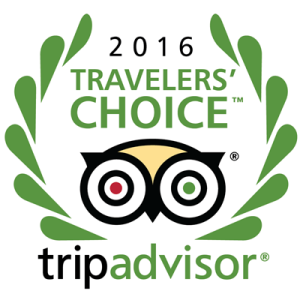 tripadvisor